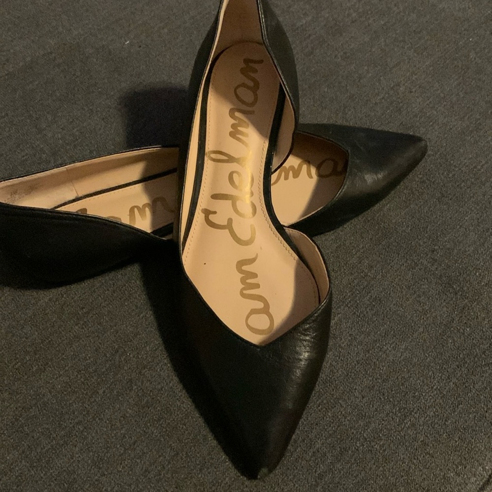 Sam Edelman Black Roxane Pointed Toe Leather Flat